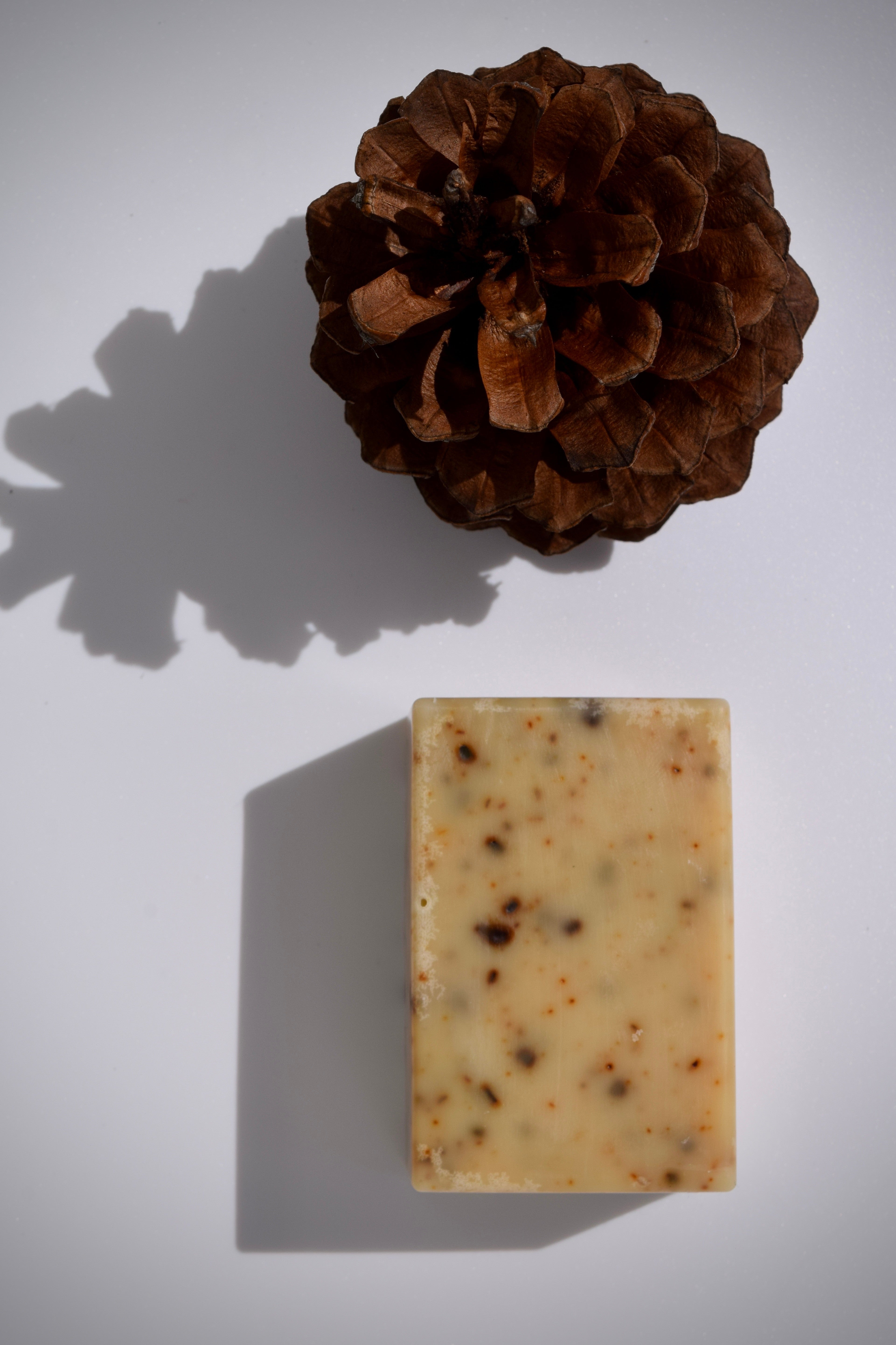 FOREST – Kootenay Tallow Bar