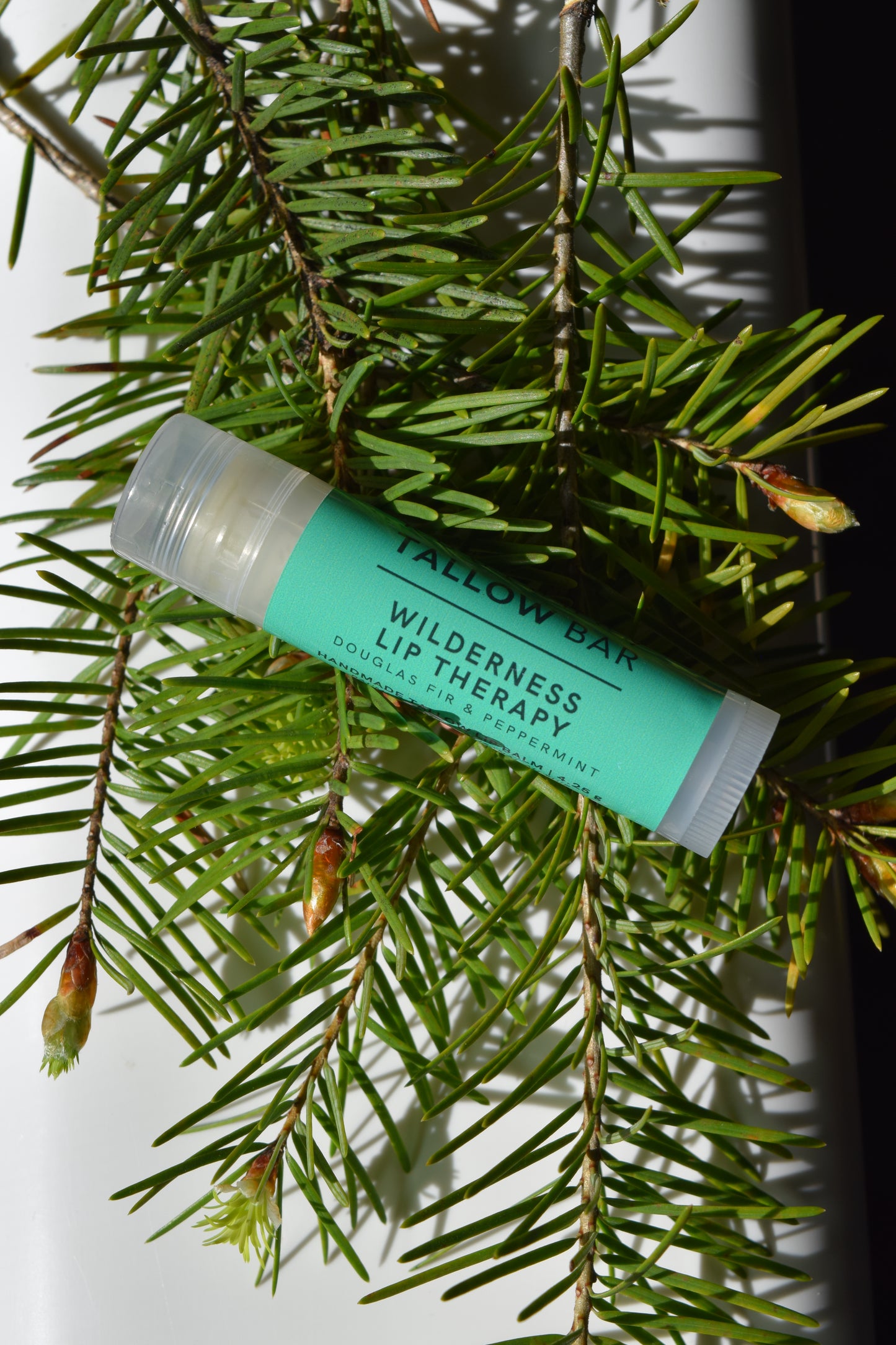 WILDERNESS LIP THERAPY