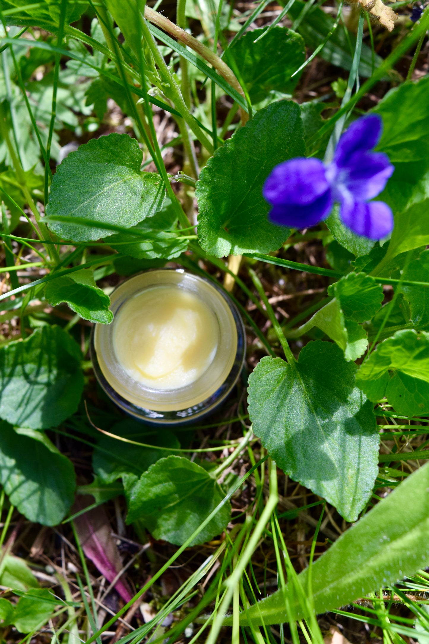 WILD VIOLET EYE BALM